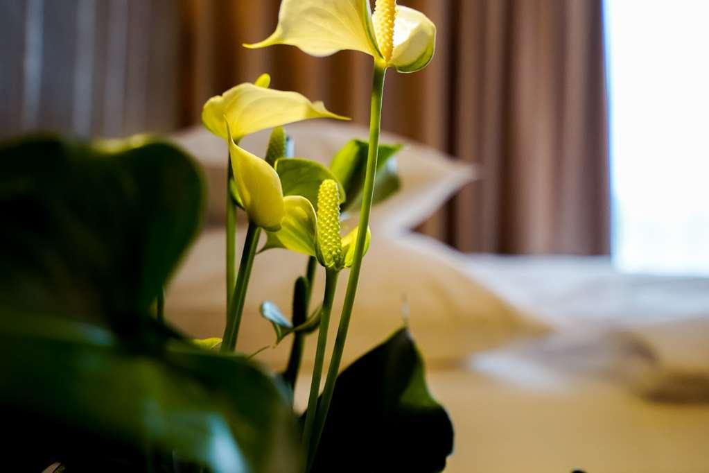 Amedia Linz, Trademark Collection By Wyndham Facilities photo